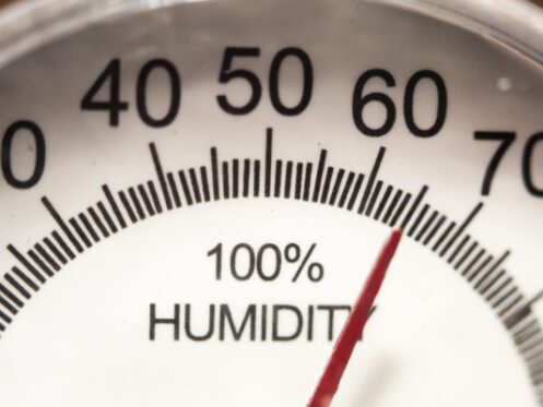 Hygrometer to Measure Indoor Humidity in Tampa, FL