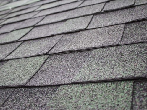 Roofing Tiles in Tampa, FL
