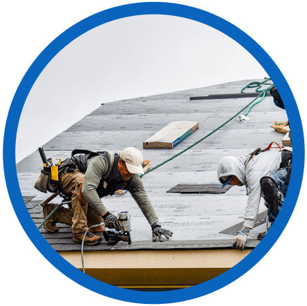 Shingle Roofing in Tampa, FL